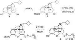 Figure BDA0000137967050000531