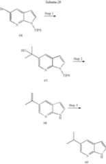 Figure US08415469-20130409-C00736