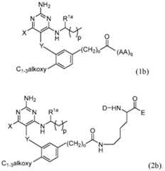 Figure imgf000057_0002