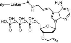 Figure imgf000027_0004