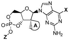 Figure imgf000020_0002