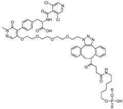 Figure imgf000168_0001