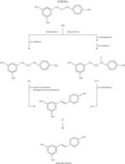 Figure US06552213-20030422-C00007