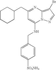 Figure US07119200-20061010-C01240