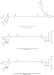 Figure US09206216-20151208-C00102