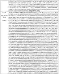 Figure imgf000196_0001