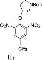 Figure BDA0000070030420000061