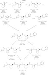 Figure US06958384-20051025-C00019