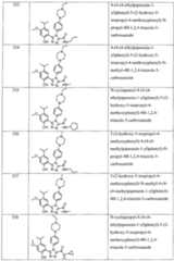Figure imgf000161_0001