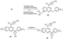 Figure imgf000075_0002