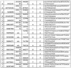 Figure imgf000154_0001
