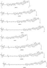 Figure FDA0003376679430000131