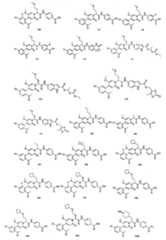 Figure 106129594-A0305-02-0313-60