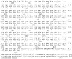 Figure BDA0002425237920000271