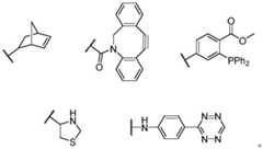 Figure BDA0002889616220000321