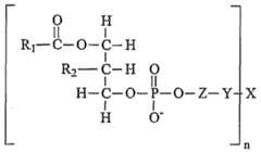 Figure imgf000007_0001