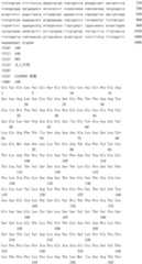 Figure IDA0002795140360001591