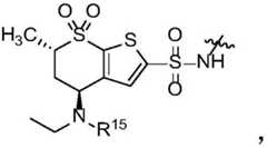 Figure BDA0002268634580001527