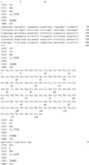 Figure IDA0002889616280000501