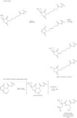 Figure US10188660-20190129-C00020