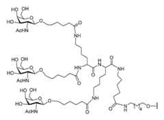 Figure 2023012548000329