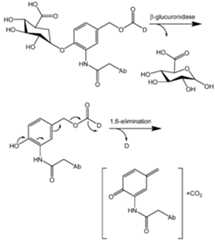 Figure imgf000076_0001