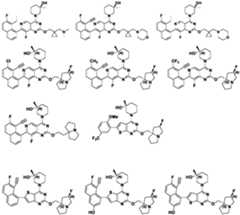 Figure PCTCN2022124111-appb-000444