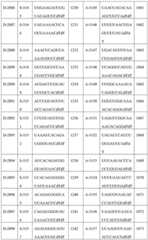 Figure BDA0002356059890002211