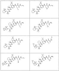 Figure imgf000270_0001