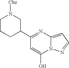 Figure US07119200-20061010-C00559