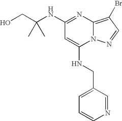 Figure US07119200-20061010-C00163
