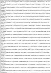 Figure imgf000029_0001