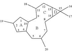 Figure US10722484-20200728-C00010