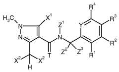 Figure imgf000004_0001
