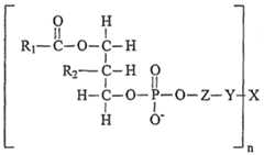Figure imgf000182_0001
