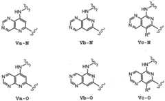 Figure imgf000113_0003