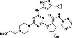 Figure GPA00001066806500791