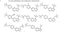 Figure imgf000007_0002