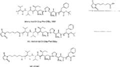 Figure imgf000137_0001