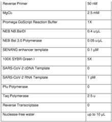 Figure imgf000040_0001