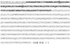 Figure 112019042531537-pat00001