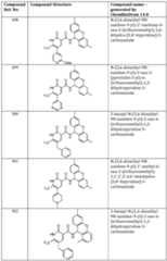 Figure imgf000259_0001