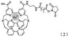 Figure DEST_PATH_IMAGE014