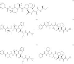 Figure US07820671-20101026-C00098