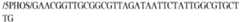 Figure imgb0068