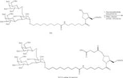 Figure US08106022-20120131-C00117