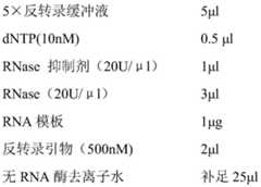 Figure BDA0002186871330000071