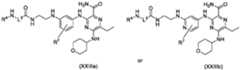 Figure imgf000043_0003
