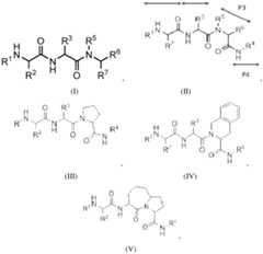 Figure imgf000025_0001