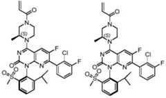 Figure BDA0002861043520000871